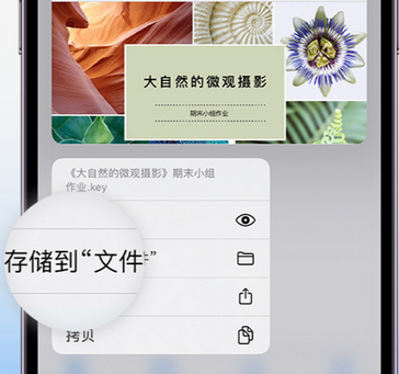 班玛apple维修中心分享iPhone文件应用中存储和找到下载文件