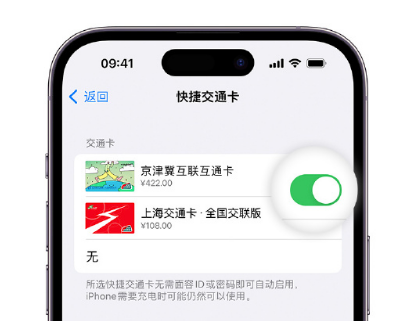 班玛apple维修点分享iPhone上更换Apple Pay快捷交通卡手绘卡面 