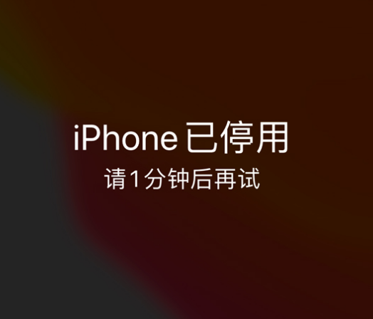 班玛苹果手机维修分享:iPhone 显示“不可用”或“已停用”怎么办？还能保留数据吗？ 