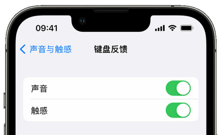 班玛苹果手机维修分享iPhone 14触感键盘使用方法 