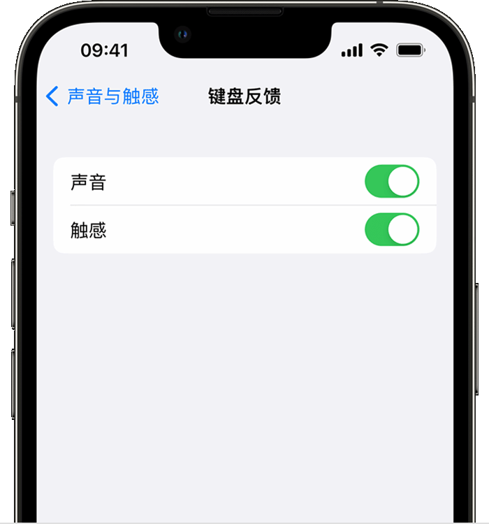 班玛苹果14维修店分享如何在 iPhone 14 机型中使用触感键盘 