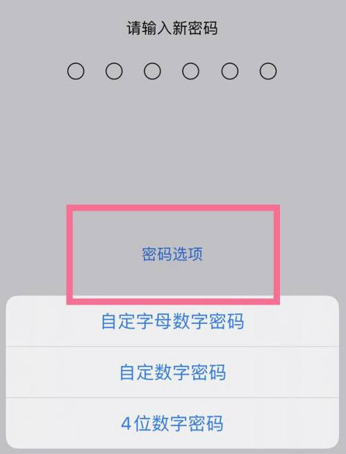 班玛苹果14维修分享iPhone 14plus设置密码的方法 