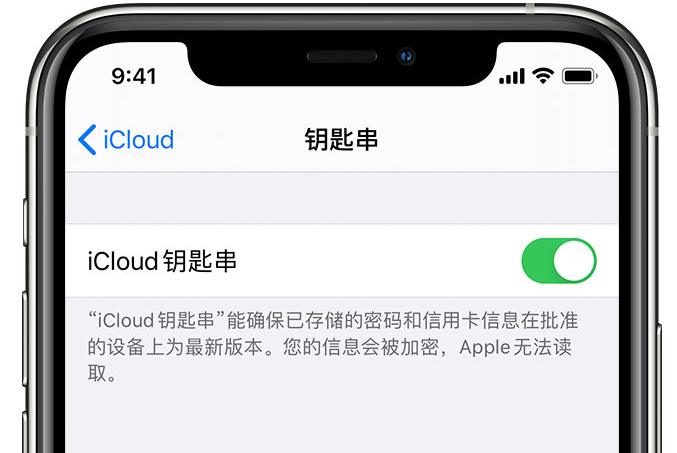 班玛苹果手机维修分享在 iPhone 上开启 iCloud 钥匙串之后会储存哪些信息 